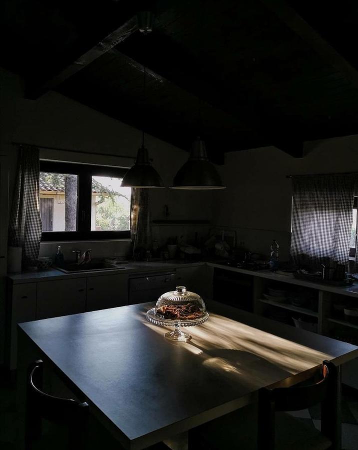 Ferienhaus Milbor Fruska Gora